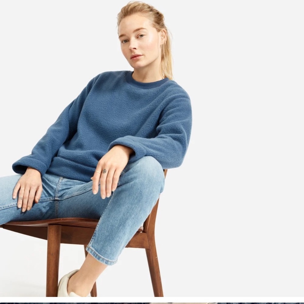 Everlane Blue Fleece Crewneck Sweatshirt